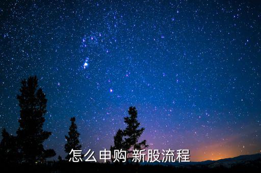 購(gòu)買(mǎi)新股怎么操作,新股認(rèn)購(gòu)流程如何操作