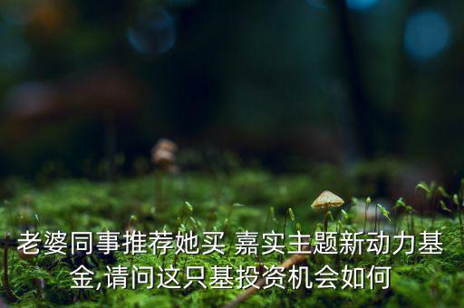 老婆同事推薦她買 嘉實(shí)主題新動(dòng)力基金,請(qǐng)問這只基投資機(jī)會(huì)如何