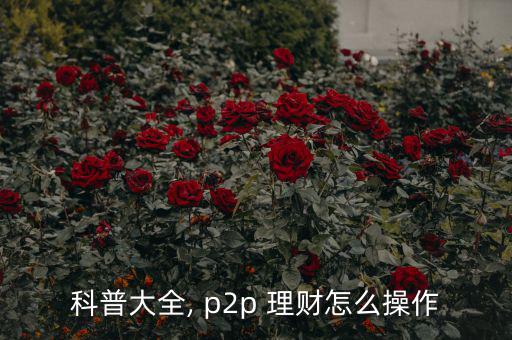 科普大全, p2p 理財(cái)怎么操作