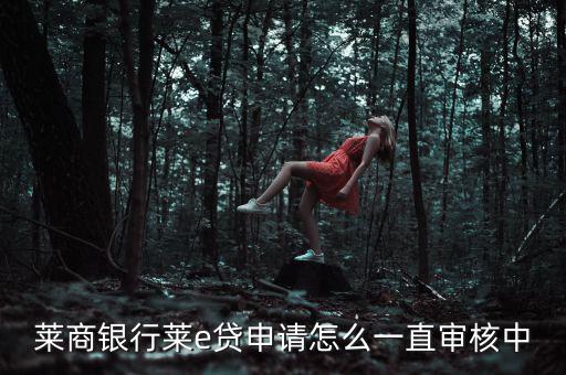 萊商貸怎么樣,商業(yè)銀行惡來(lái)貸款申請(qǐng)流程