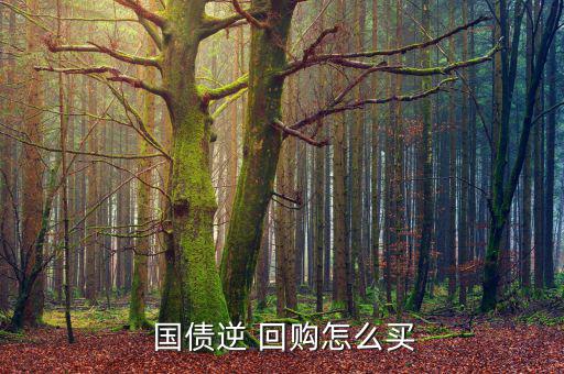 國債逆回購怎么賣,個(gè)人可通過國債回購市場(chǎng)出借自有資金