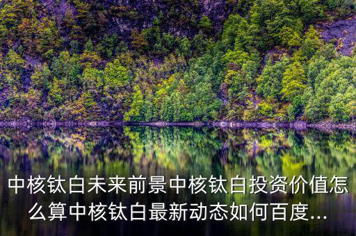 中核鈦白未來前景中核鈦白投資價值怎么算中核鈦白最新動態(tài)如何百度...