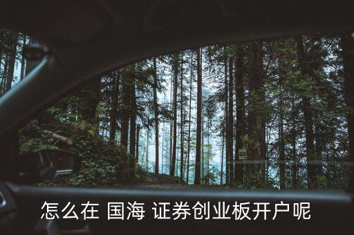 國(guó)海證券怎么一,國(guó)聯(lián)證券可能要開(kāi)線(xiàn)下證券營(yíng)業(yè)廳