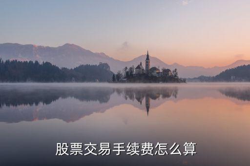 買股票費(fèi)用怎么算,股票交易費(fèi)用包括手續(xù)費(fèi)、過戶費(fèi)和傭金