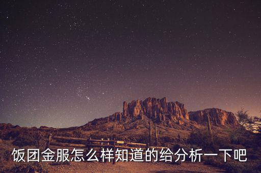 飯團(tuán)金服怎么樣知道的給分析一下吧
