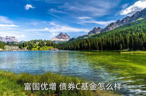 嘉實債券怎么樣,短債基金包括諾安債券、友邦短債、嘉實超短債