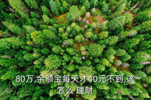 80萬(wàn),余額寶每天才40元不到,該怎么 理財(cái)