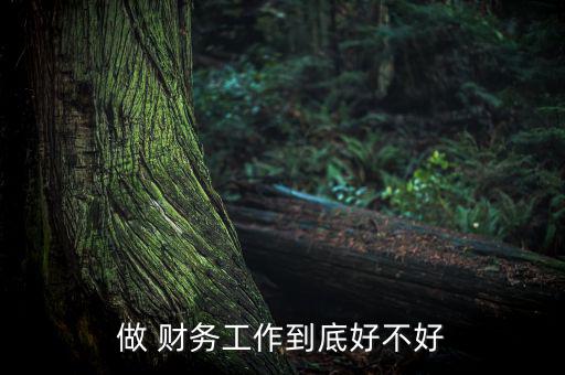 做 財務工作到底好不好