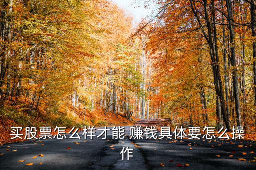 買股票怎么樣才能 賺錢具體要怎么操作