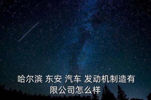  哈爾濱 東安 汽車 發(fā)動機(jī)制造有限公司怎么樣