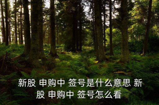  新股 申購中 簽號(hào)是什么意思 新股 申購中 簽號(hào)怎么看