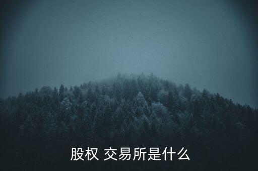 石家莊股權交易所怎么交易,股權交易所是怎么一回事?