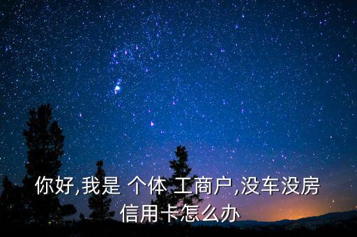 你好,我是 個(gè)體 工商戶(hù),沒(méi)車(chē)沒(méi)房 信用卡怎么辦