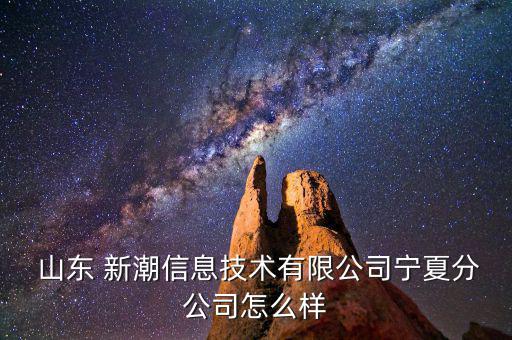 山東新潮怎么樣,山東新潮信息技術有限公司寧夏分公司法人何