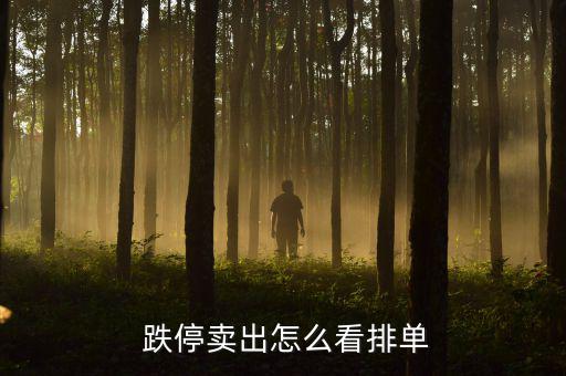  跌停賣(mài)出怎么看排單