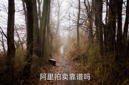  阿里拍賣(mài)靠譜嗎