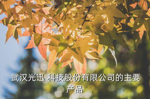  武漢光迅 科技股份有限公司的主要產品