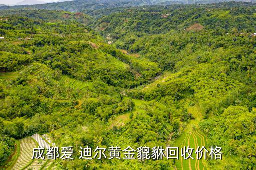 愛迪爾千足金怎么樣,黃金現(xiàn)貨價格:257.64萬人民幣/克