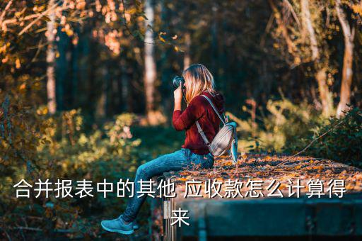 其他應收款凈額怎么算,應收賬款周轉率是一個月內的平均余額