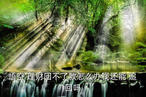在悟空理財(cái)被騙了怎么追回資金,悟空理財(cái)月賬號每月可轉(zhuǎn)賬一次