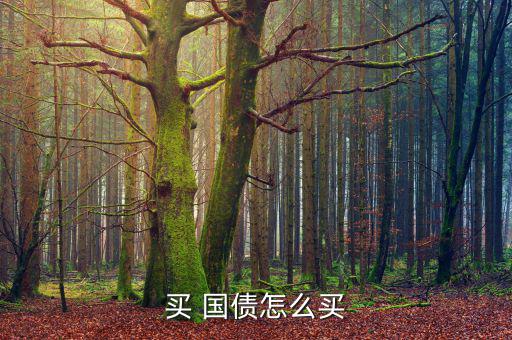 買 國(guó)債怎么買