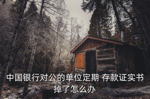 中國(guó)銀行對(duì)公的單位定期 存款證實(shí)書掉了怎么辦