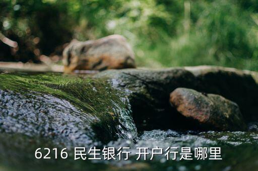民生銀行開(kāi)戶行怎么查,中國(guó)民生銀行開(kāi)戶線在浙江臺(tái)州
