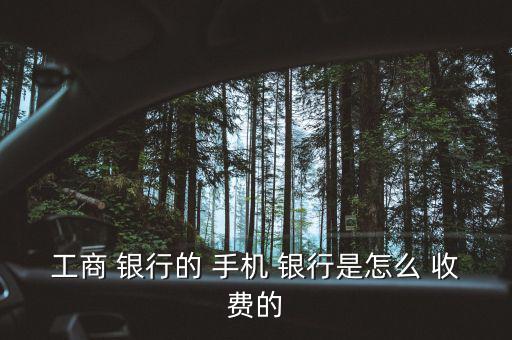 工行手機(jī)銀行怎么收費(fèi),定制余額變動短信提醒收費(fèi)3元/月/卡