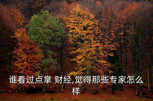 誰看過點(diǎn)掌 財經(jīng),覺得那些專家怎么樣