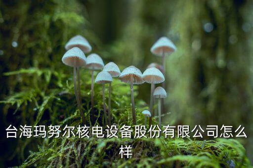 臺(tái)海瑪努爾核電設(shè)備股份有限公司怎么樣