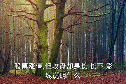  股票漲停,但收盤(pán)卻是長(zhǎng) 長(zhǎng)下 影線說(shuō)明什么