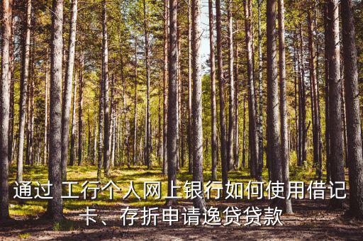 通過 工行個人網(wǎng)上銀行如何使用借記卡、存折申請逸貸貸款