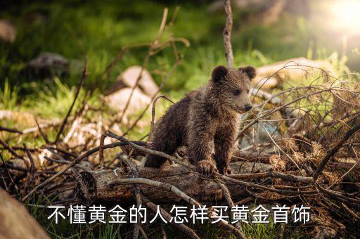 買金器怎么買,黃金飾品買什么?