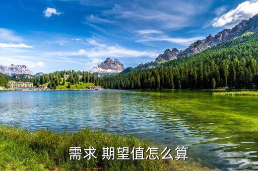 需求 期望值怎么算