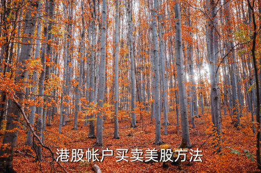 港股帳戶(hù)買(mǎi)賣(mài)美股方法