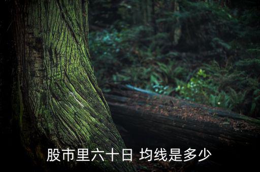 股市里六十日 均線是多少