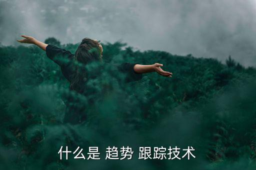 怎么跟蹤趨勢,趨勢跟蹤三大特點(diǎn)