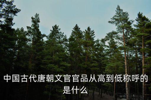 中國(guó)古代唐朝文官官品從高到低稱(chēng)呼的是什么