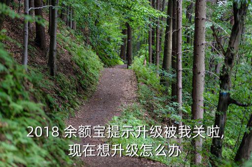 余額寶等級(jí)怎么升,余額寶限購時(shí)間也被取消