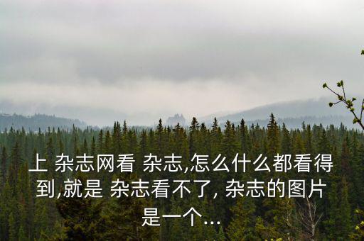 上 雜志網看 雜志,怎么什么都看得到,就是 雜志看不了, 雜志的圖片是一個...