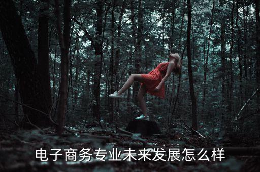 電子商務(wù)專業(yè)未來發(fā)展怎么樣