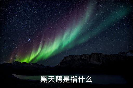 股票黑天鵝是什么意思，黑天鵝事件是什么意思