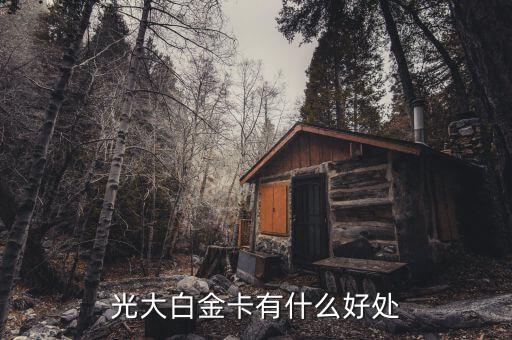 光大微稅聯(lián)白金卡有什么好處，光大銀行白金卡的好處我提供本人的100平以上的房產(chǎn)證和作為法人