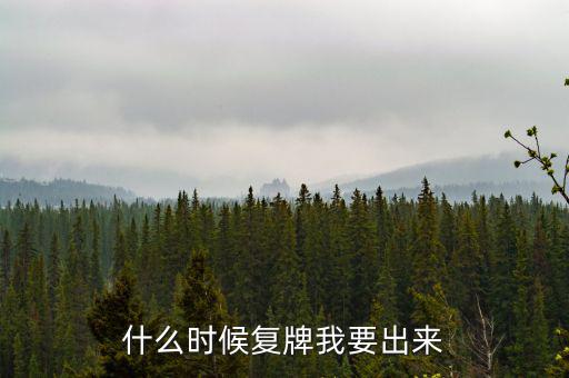 什么時候復(fù)牌我要出來