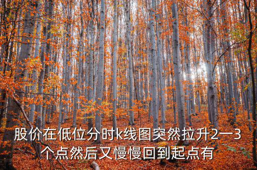 低位反彈之后加速拉升什么情況，股價(jià)在低位分時(shí)k線圖突然拉升2一3個(gè)點(diǎn)然后又慢慢回到起點(diǎn)有