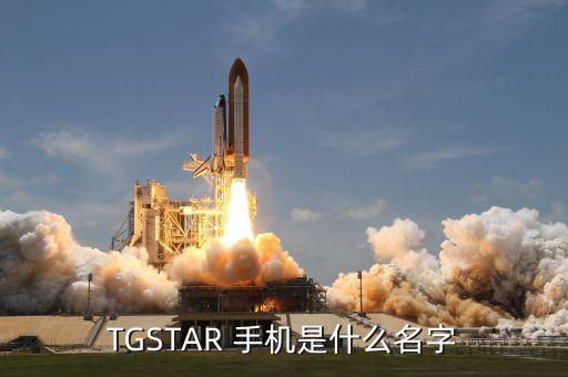 周鴻t手機牌子是什么，T型的手機是什么牌子