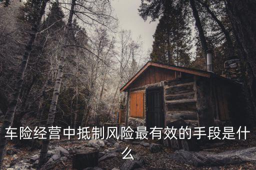 車險經營中抵制風險最有效的手段是什么