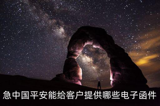 什么是電子紅利通知書(shū)，急中國(guó)平安能給客戶提供哪些電子函件