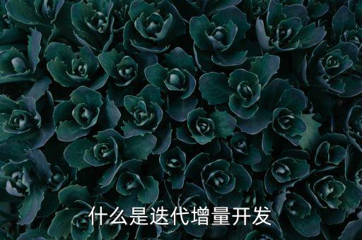 什么是增量發(fā)展，物理意義上的增量是什么意思