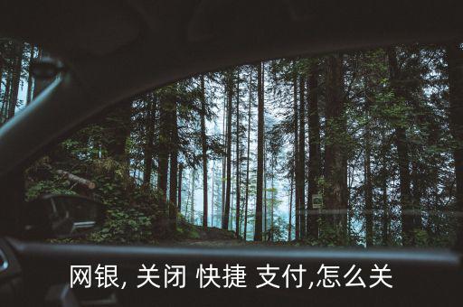 網(wǎng)銀, 關(guān)閉 快捷 支付,怎么關(guān)